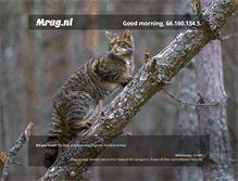 Tablet Screenshot of mrag.nl